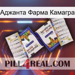 Аджанта Фарма Камагра 12